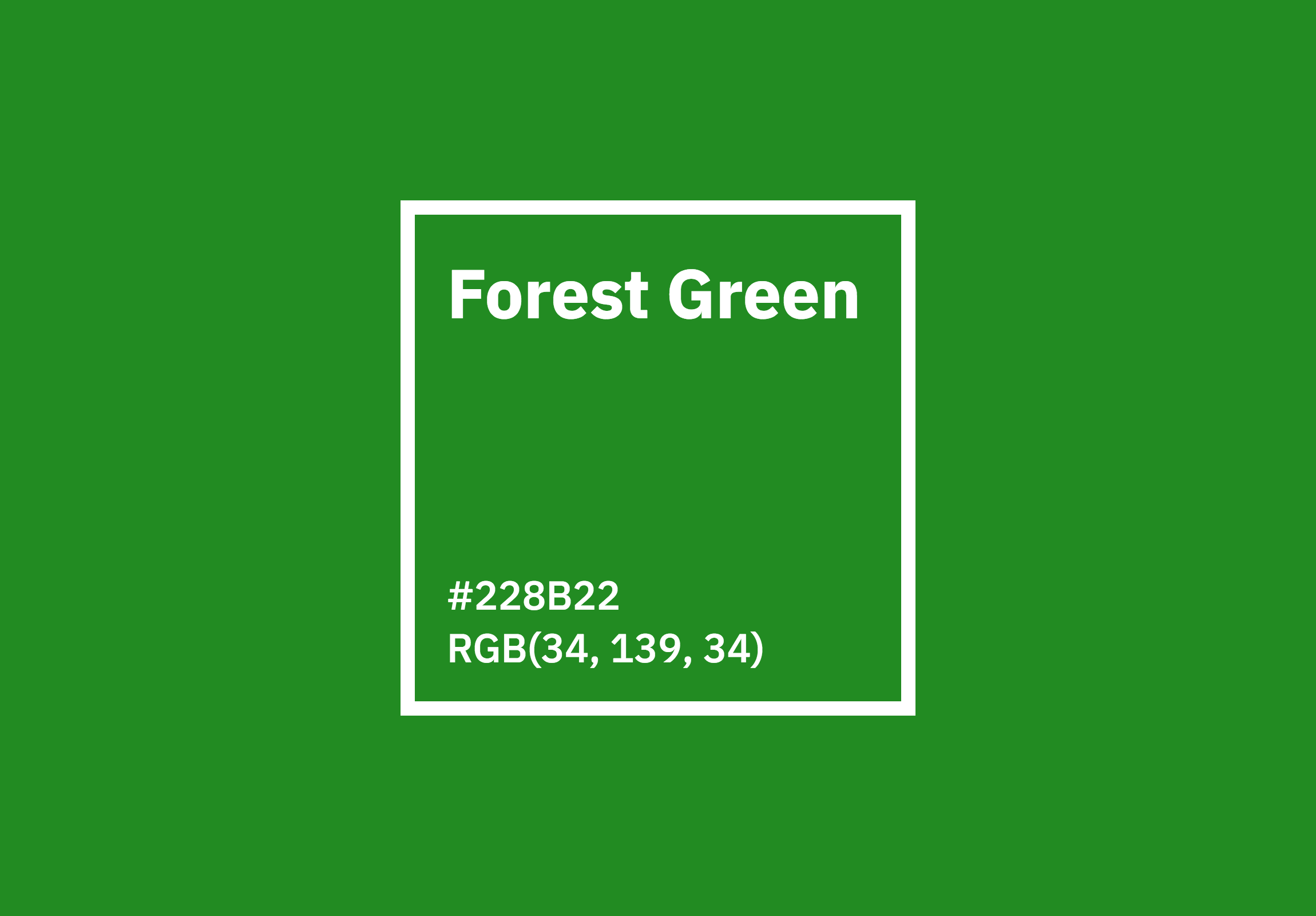 forest-green-103.png