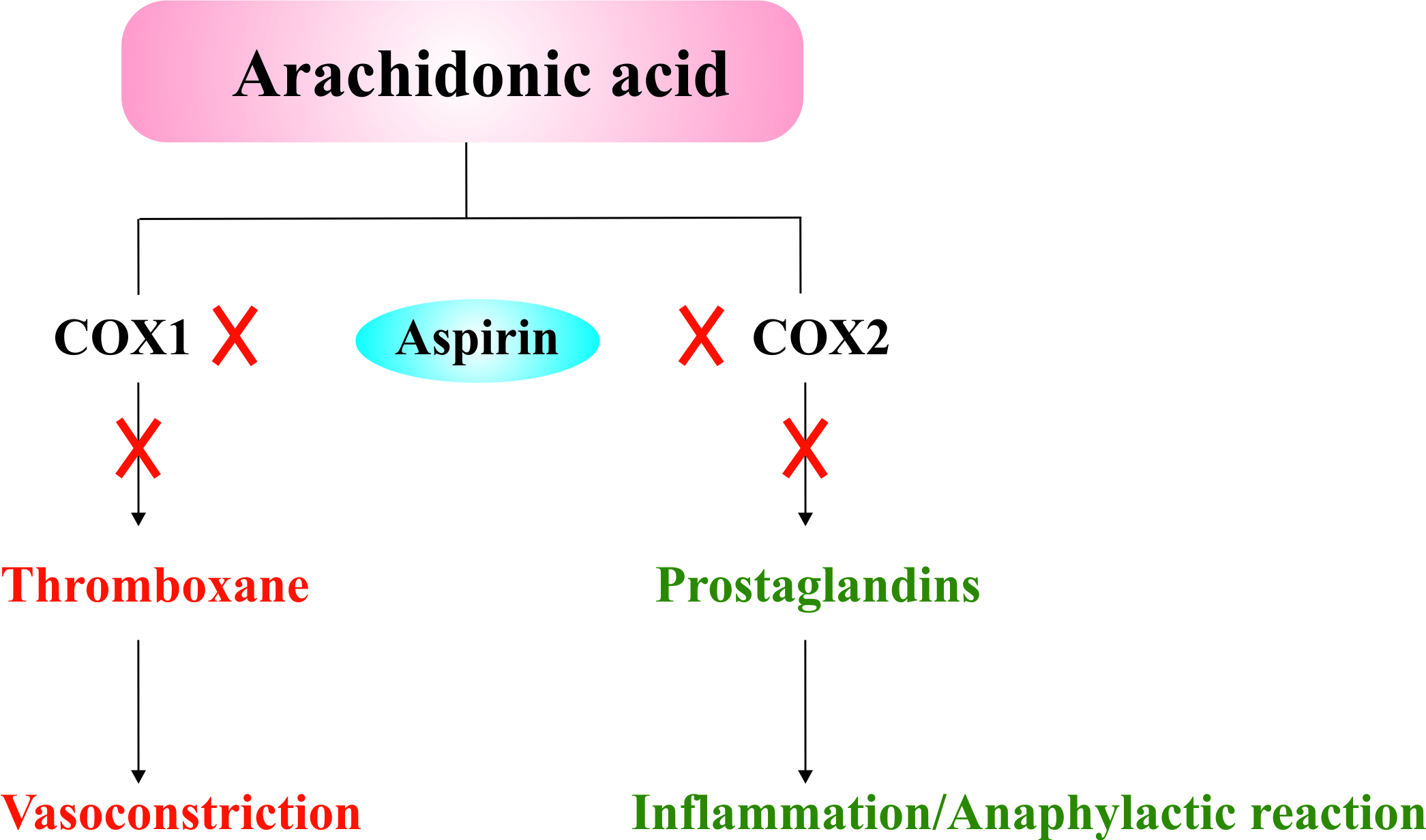 aspirin-1882.jpeg