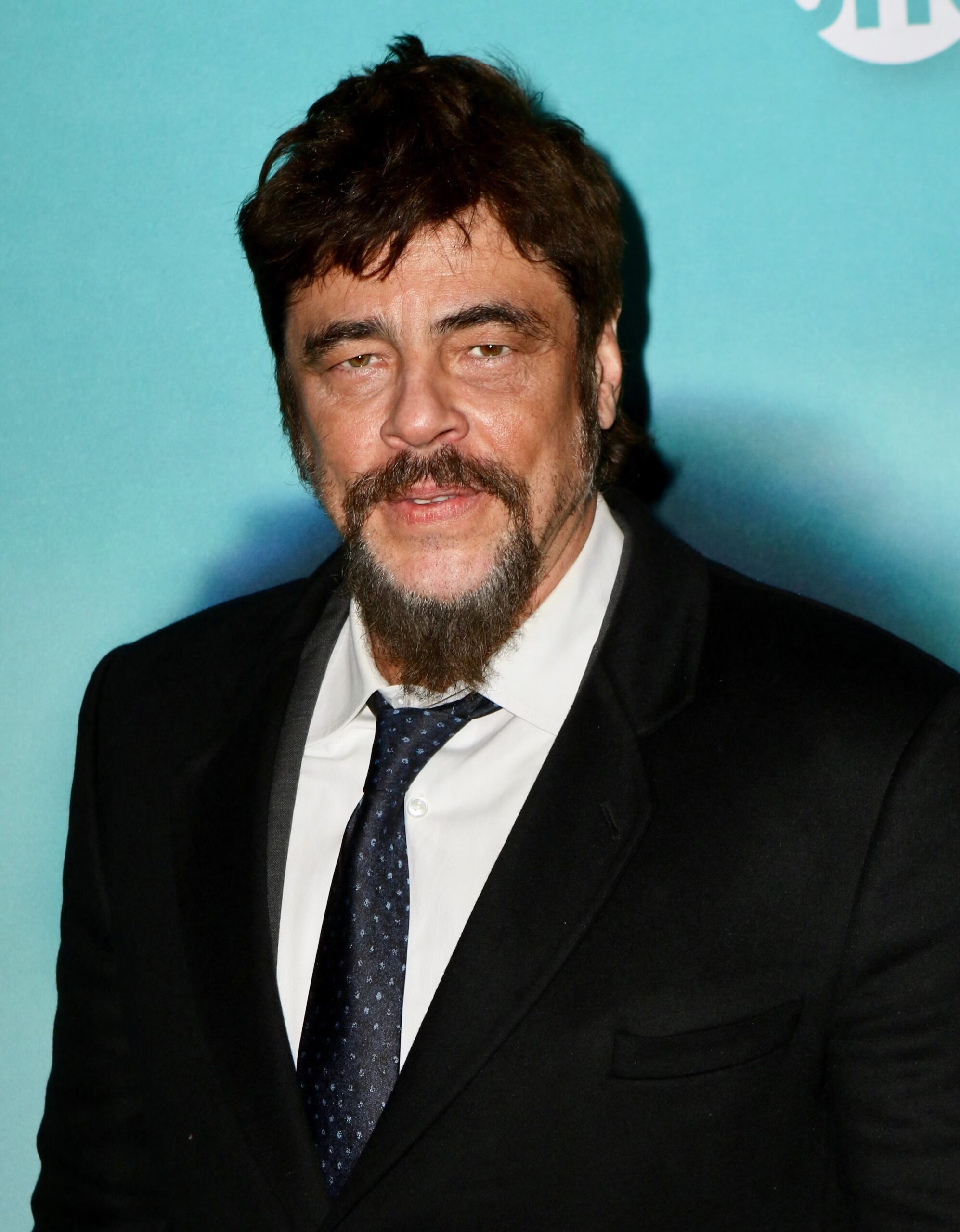 benicio-del-toro-2009.jpg