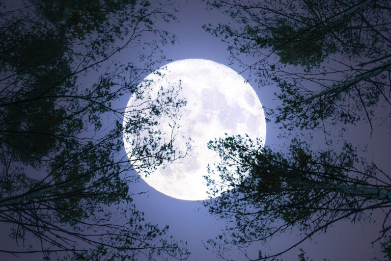 blue-moon-750.jpeg
