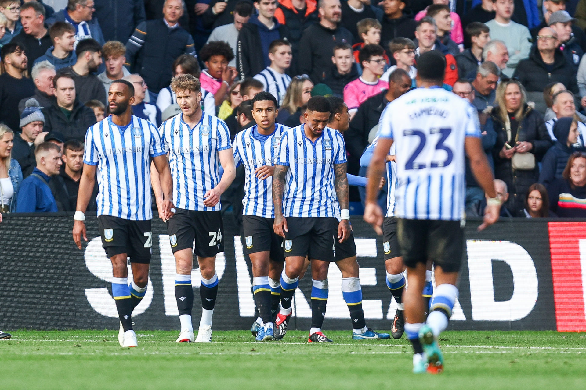 bristol-city-vs-sheffield-wednesday-375.jpeg