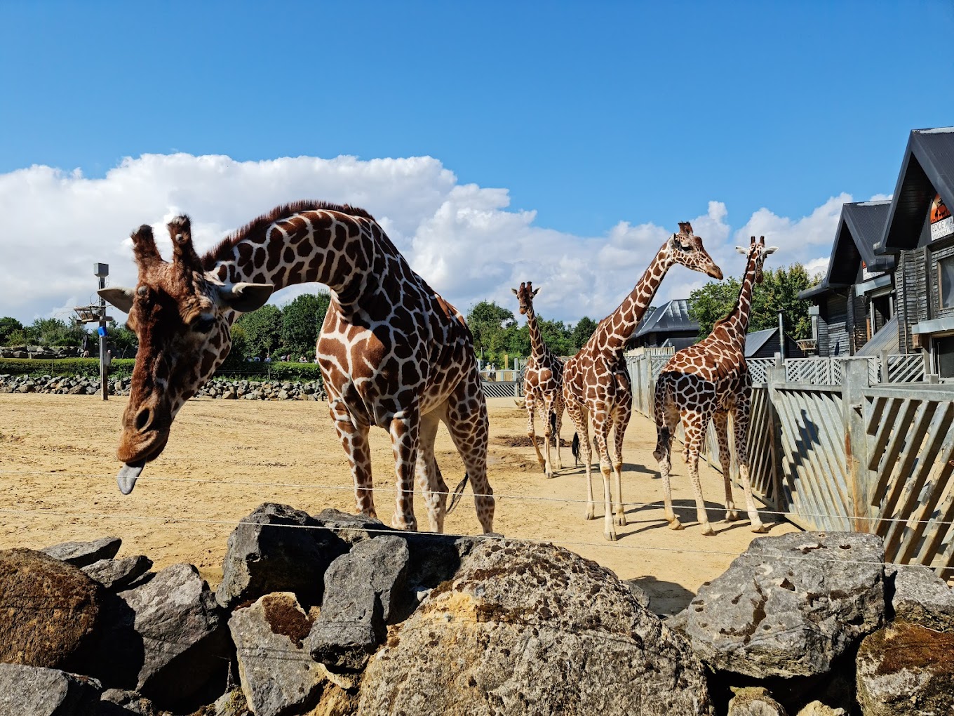 colchester-zoo-1783.jpeg