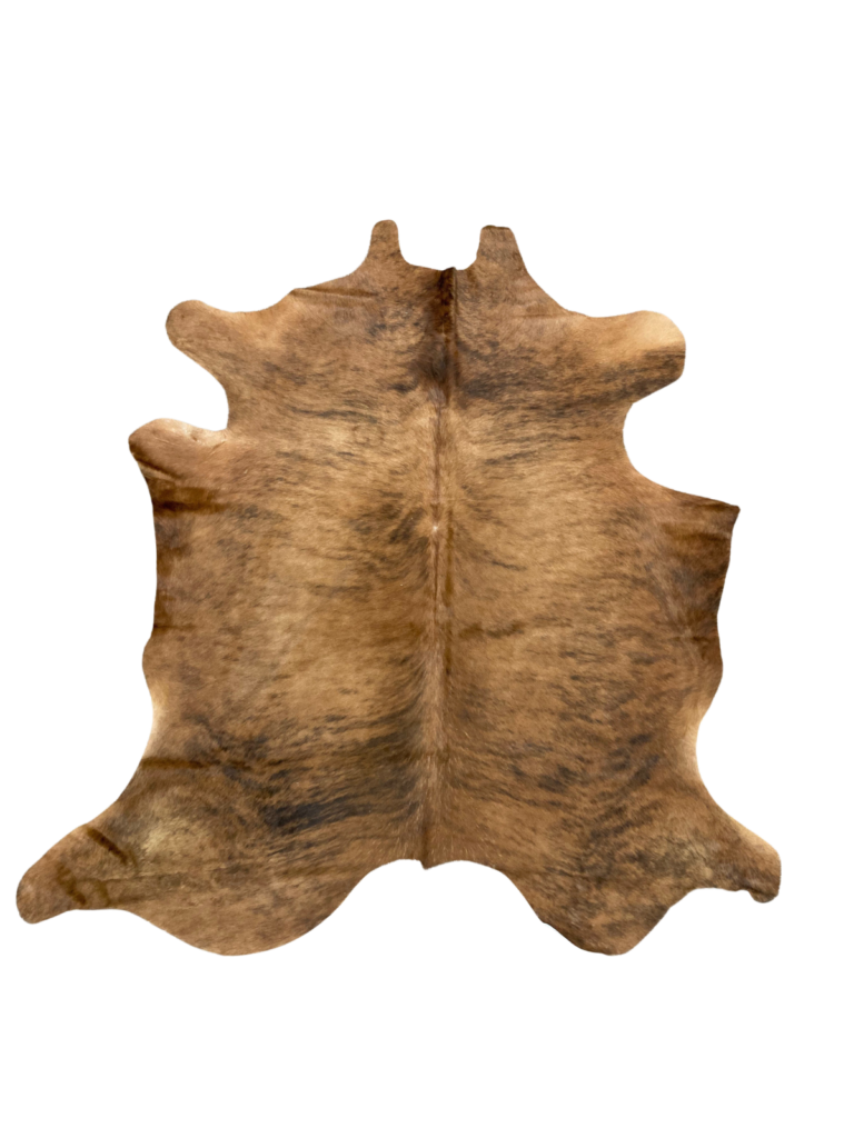 cow-61.webp