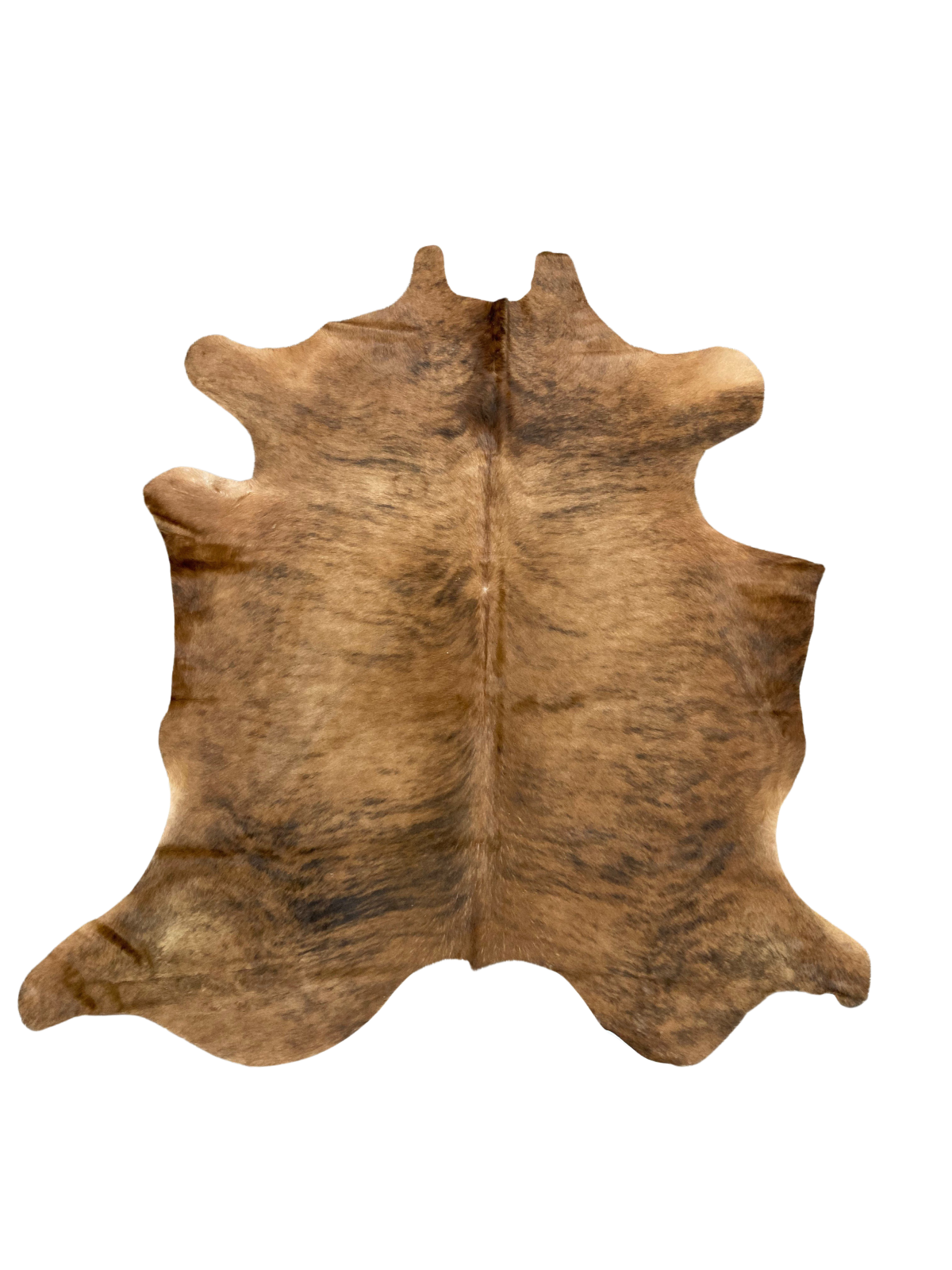 cow-61.webp