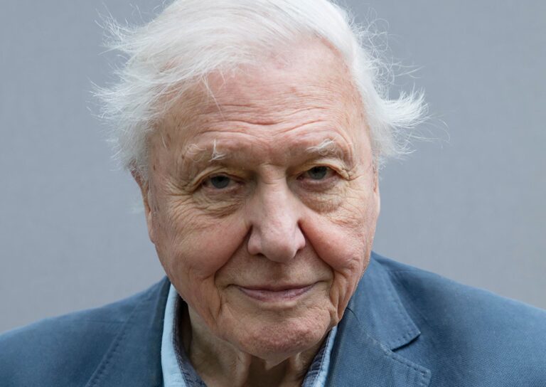 david-attenborough-94.jpeg