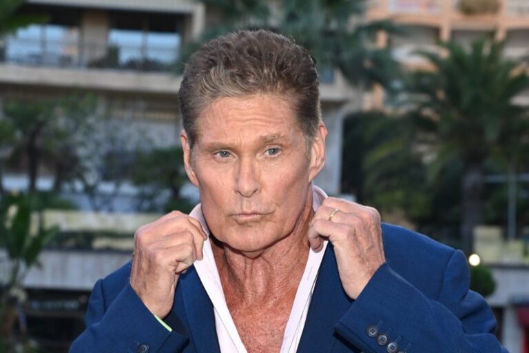 david-hasselhoff-1918.jpeg
