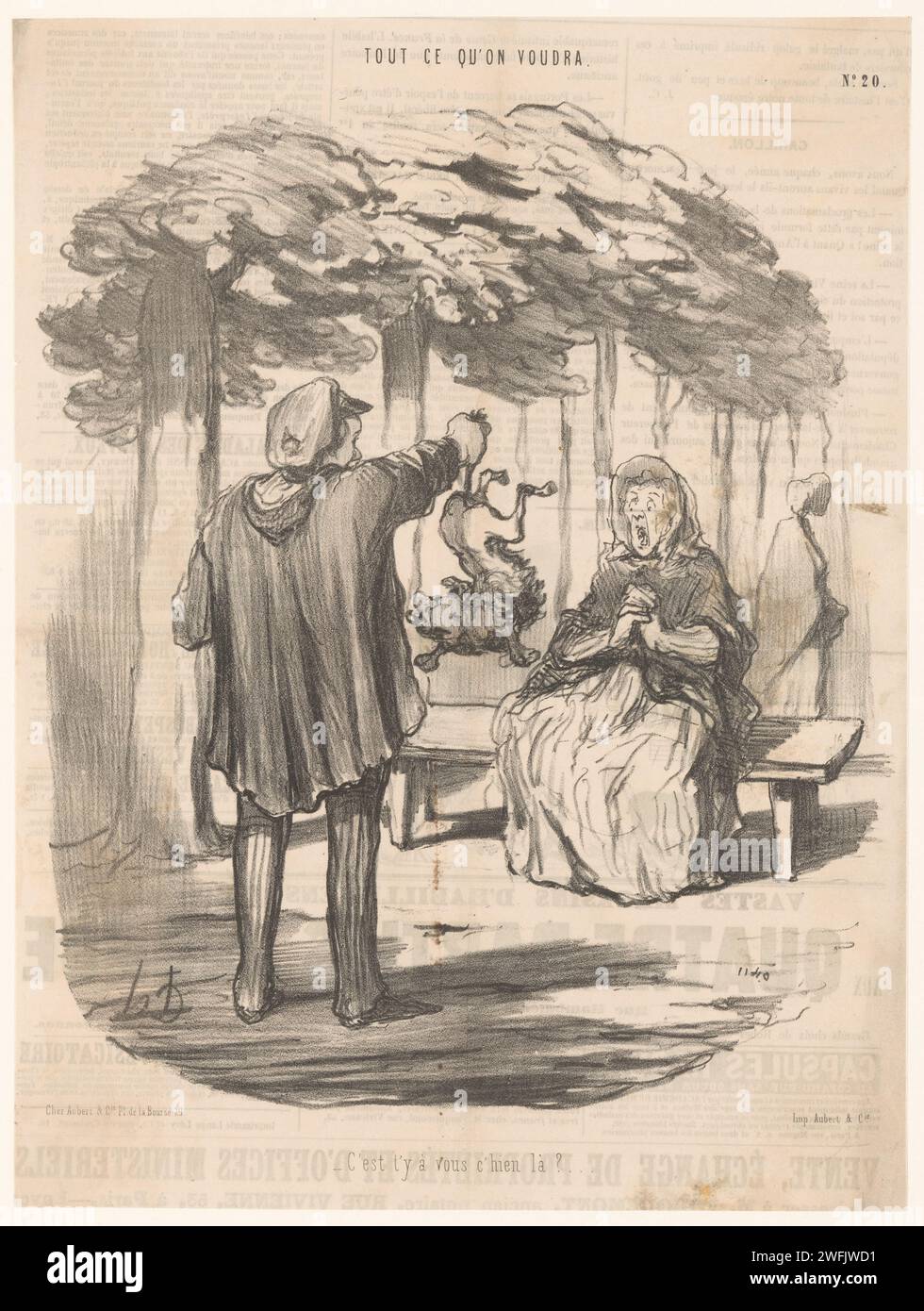 dog-1847.jpeg