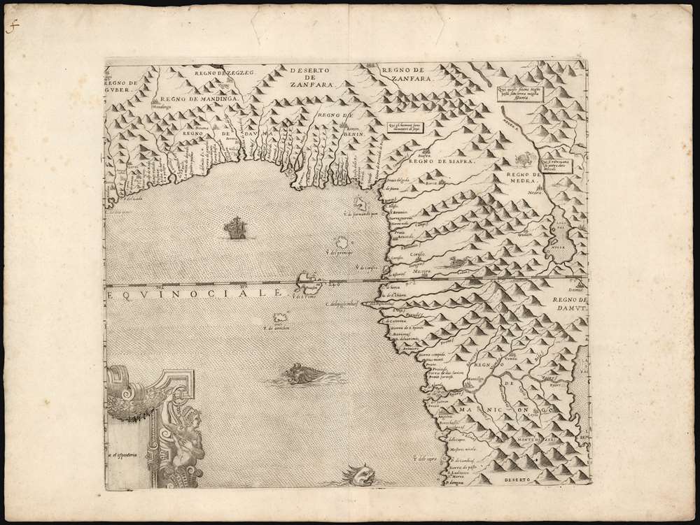 guinea-1570.jpeg