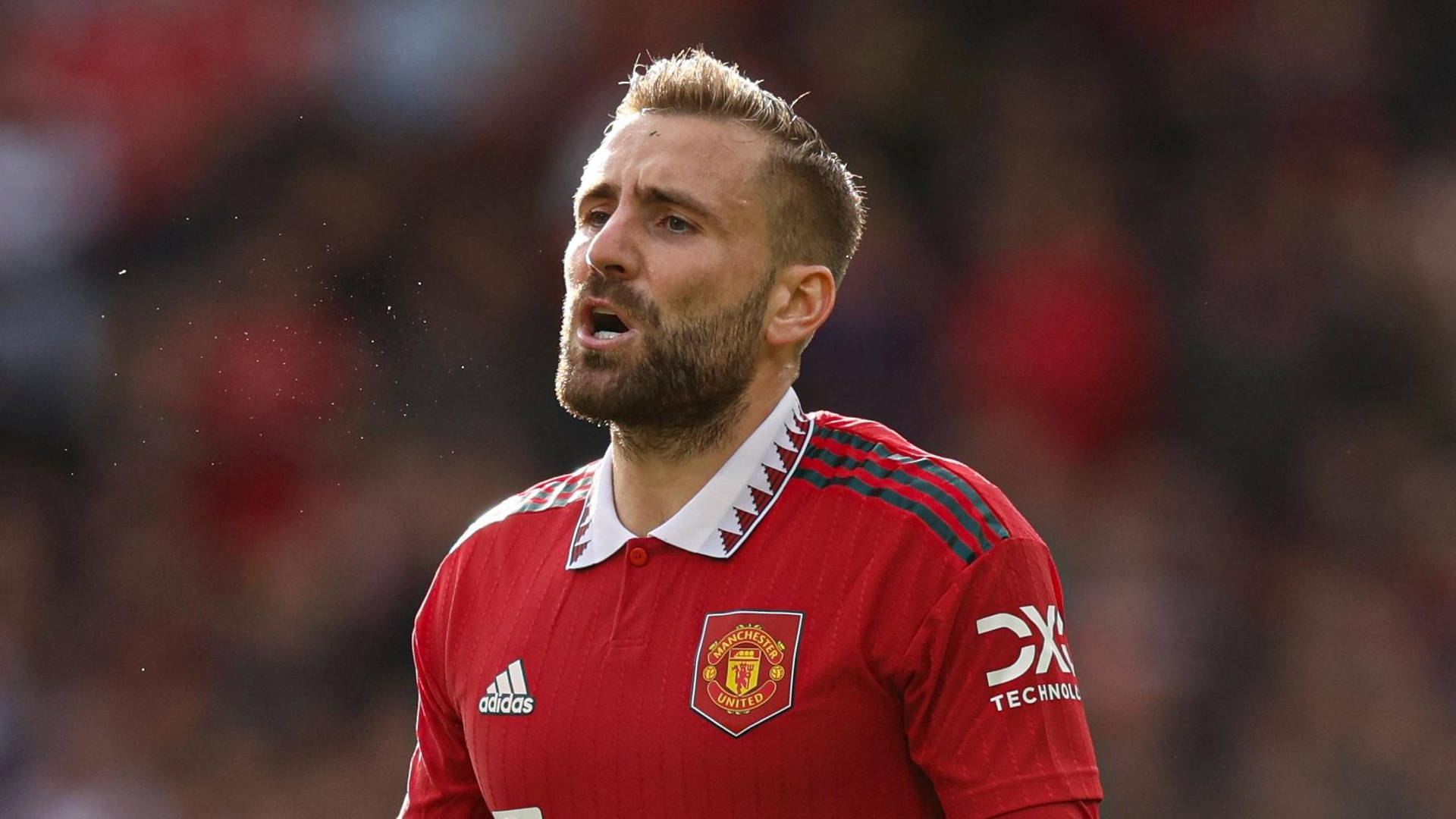 luke-shaw-144.jpeg