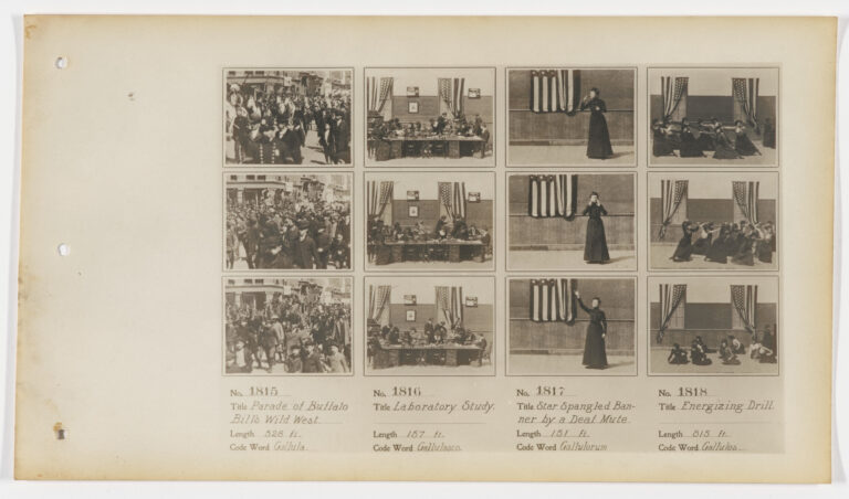moma-1817.jpeg