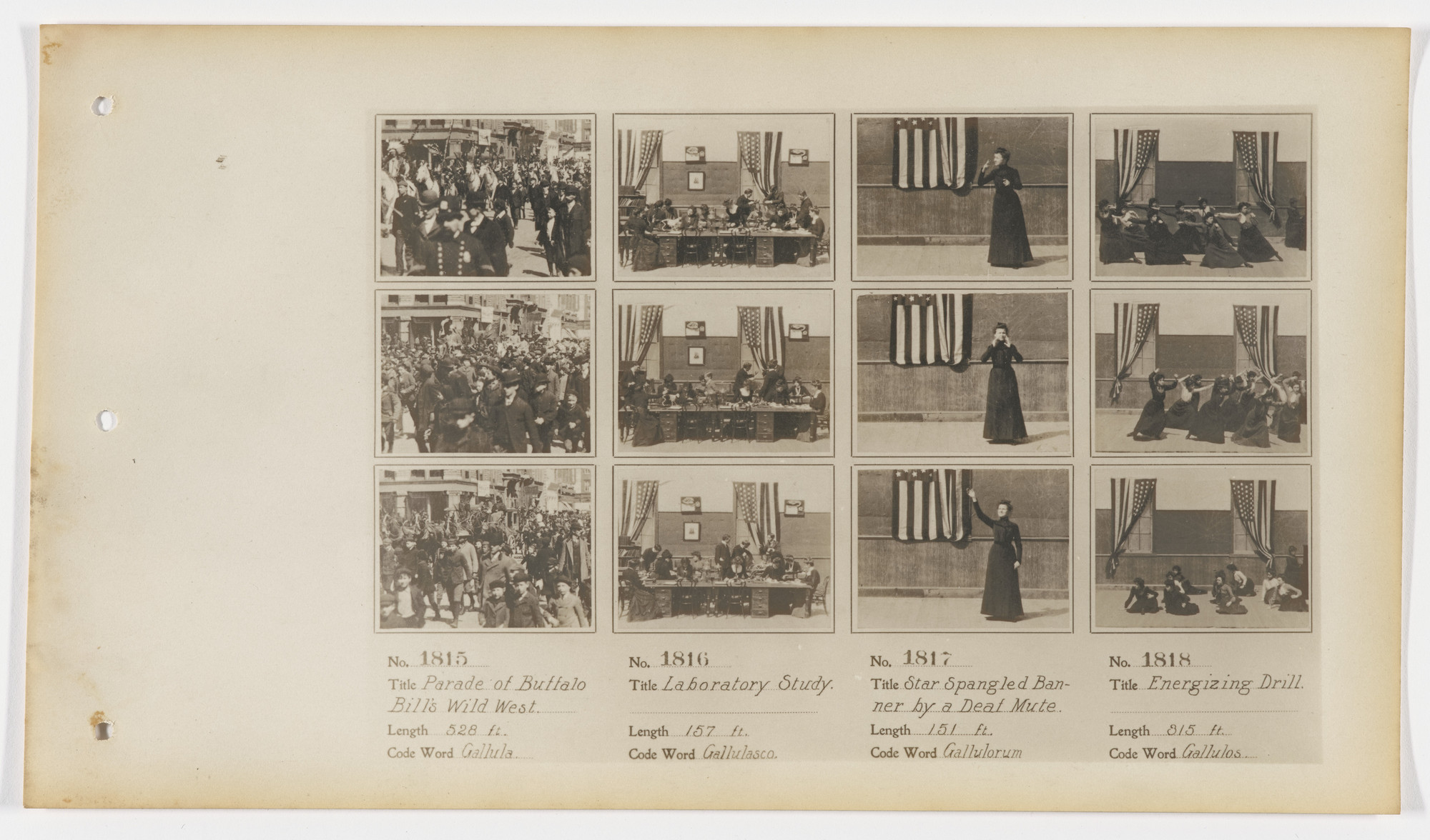 moma-1817.jpeg