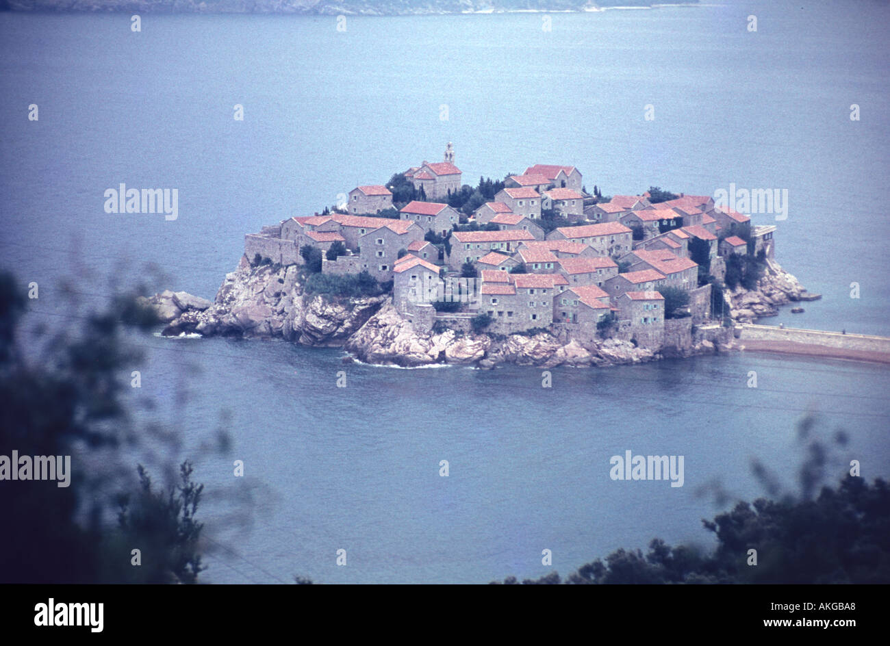 montenegro-1965.jpeg