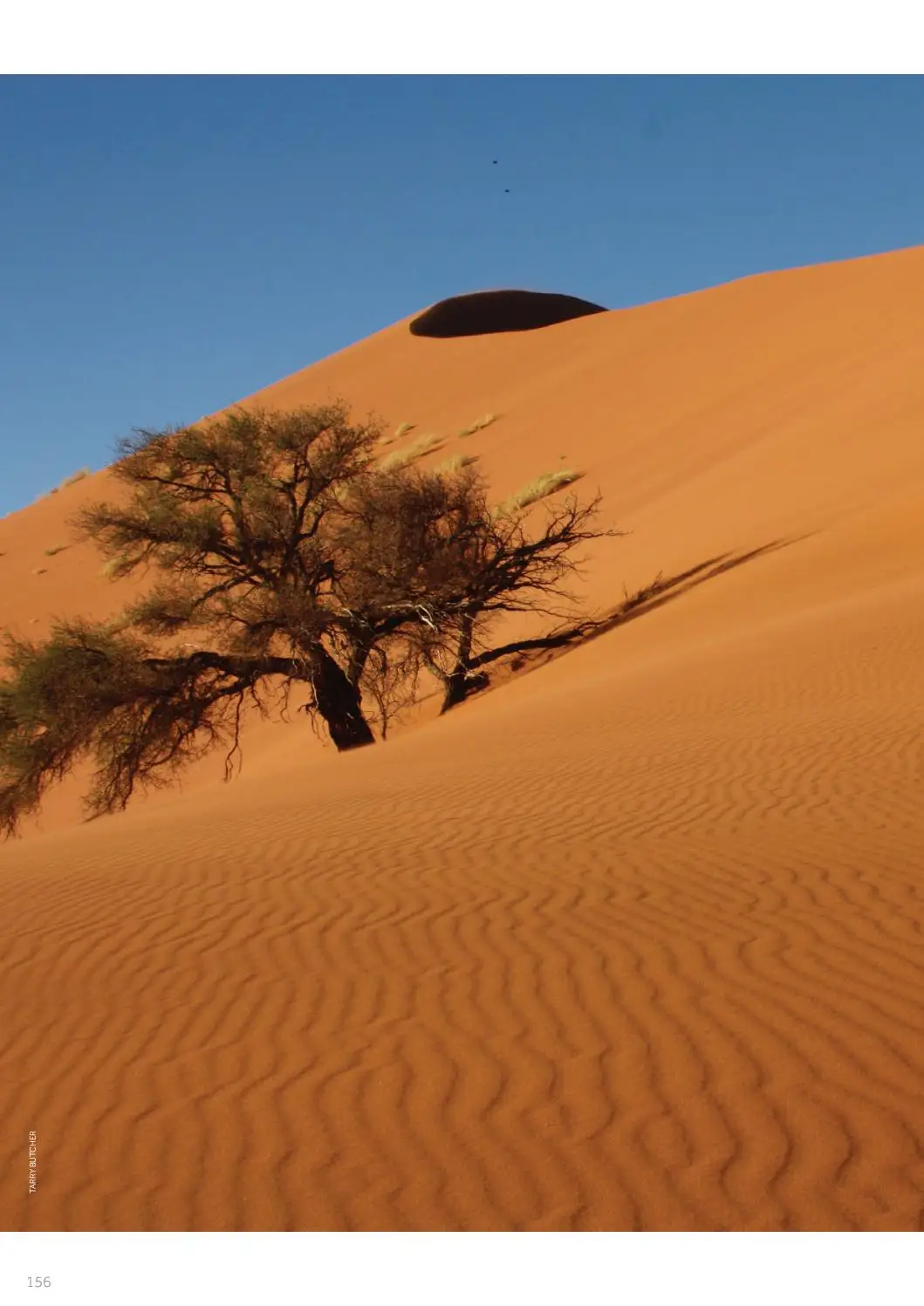 namibia-158.webp