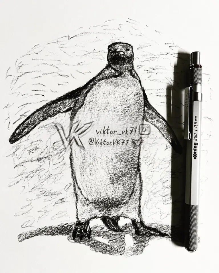 penguin-145.webp