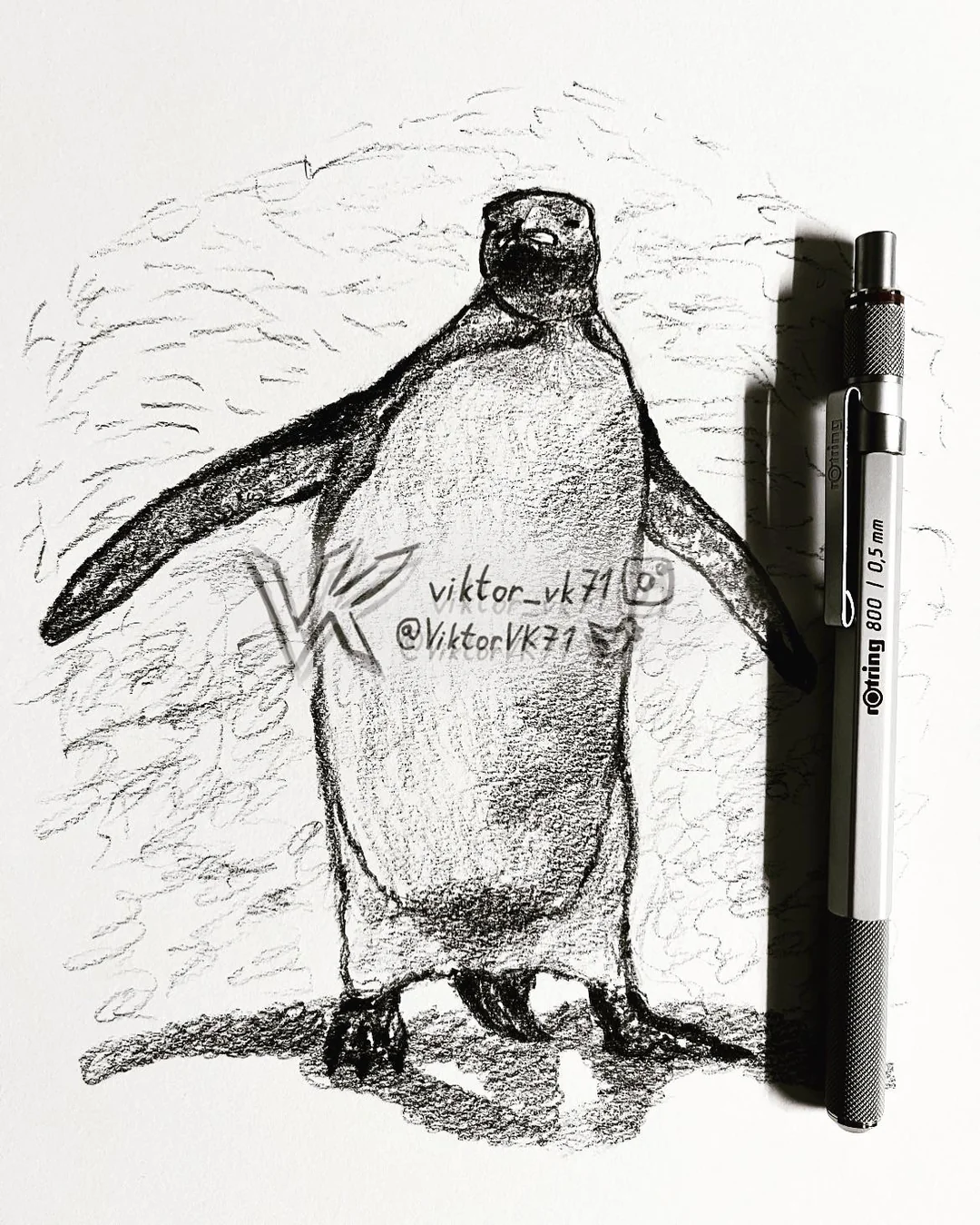 penguin-145.webp
