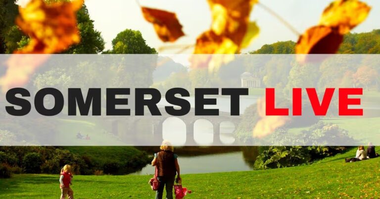 somerset-live-137.jpg