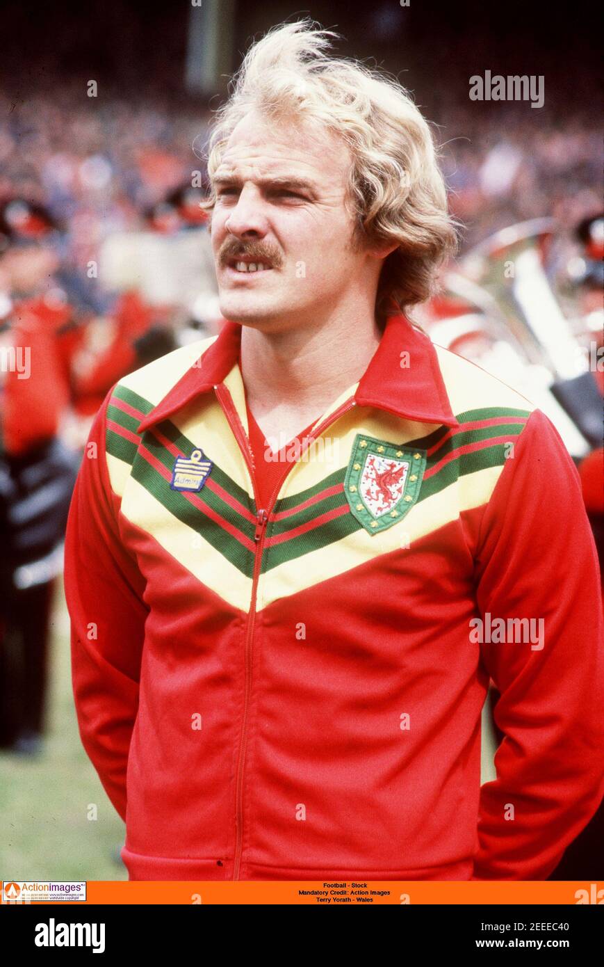 terry-yorath-wife-192.jpeg