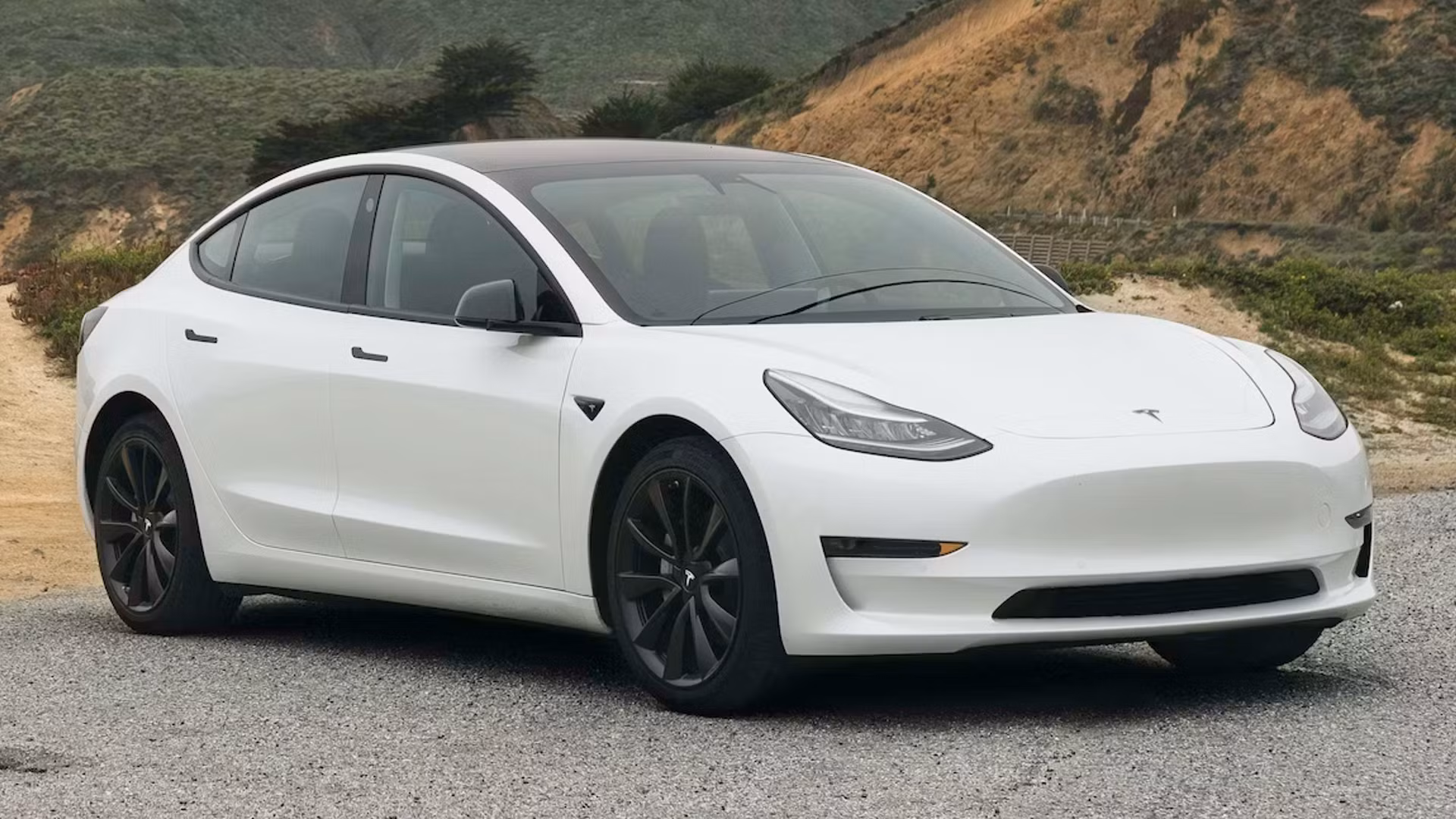 tesla-model-3-264.jpg
