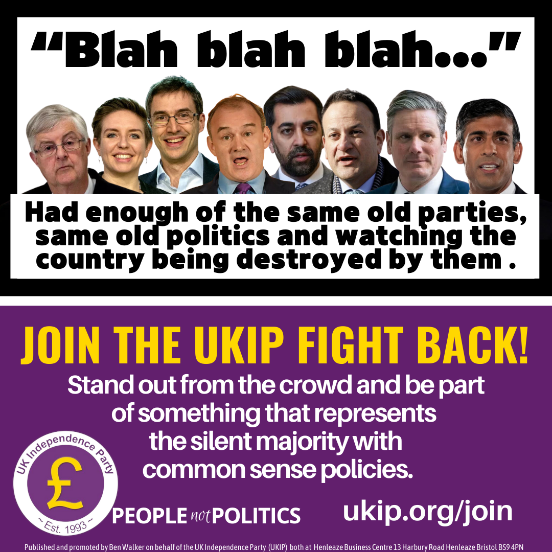 ukip-party-8.png