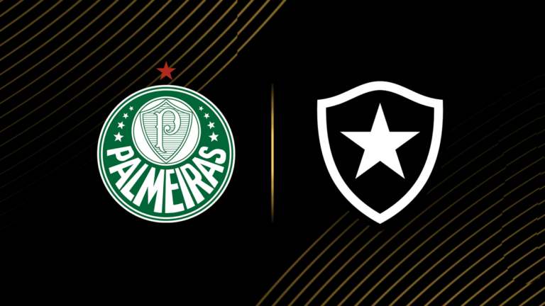 botafogo-vs-palmeiras-360.png