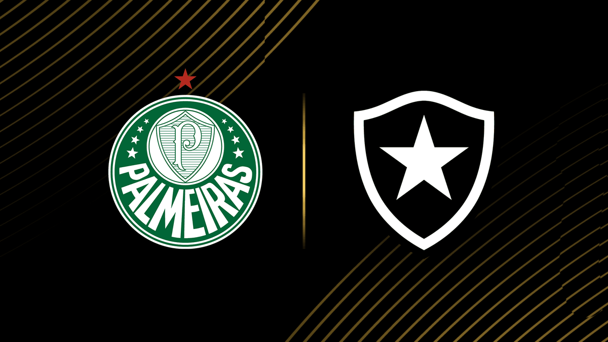 botafogo-vs-palmeiras-360.png