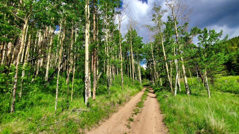 colorado-189.jpeg