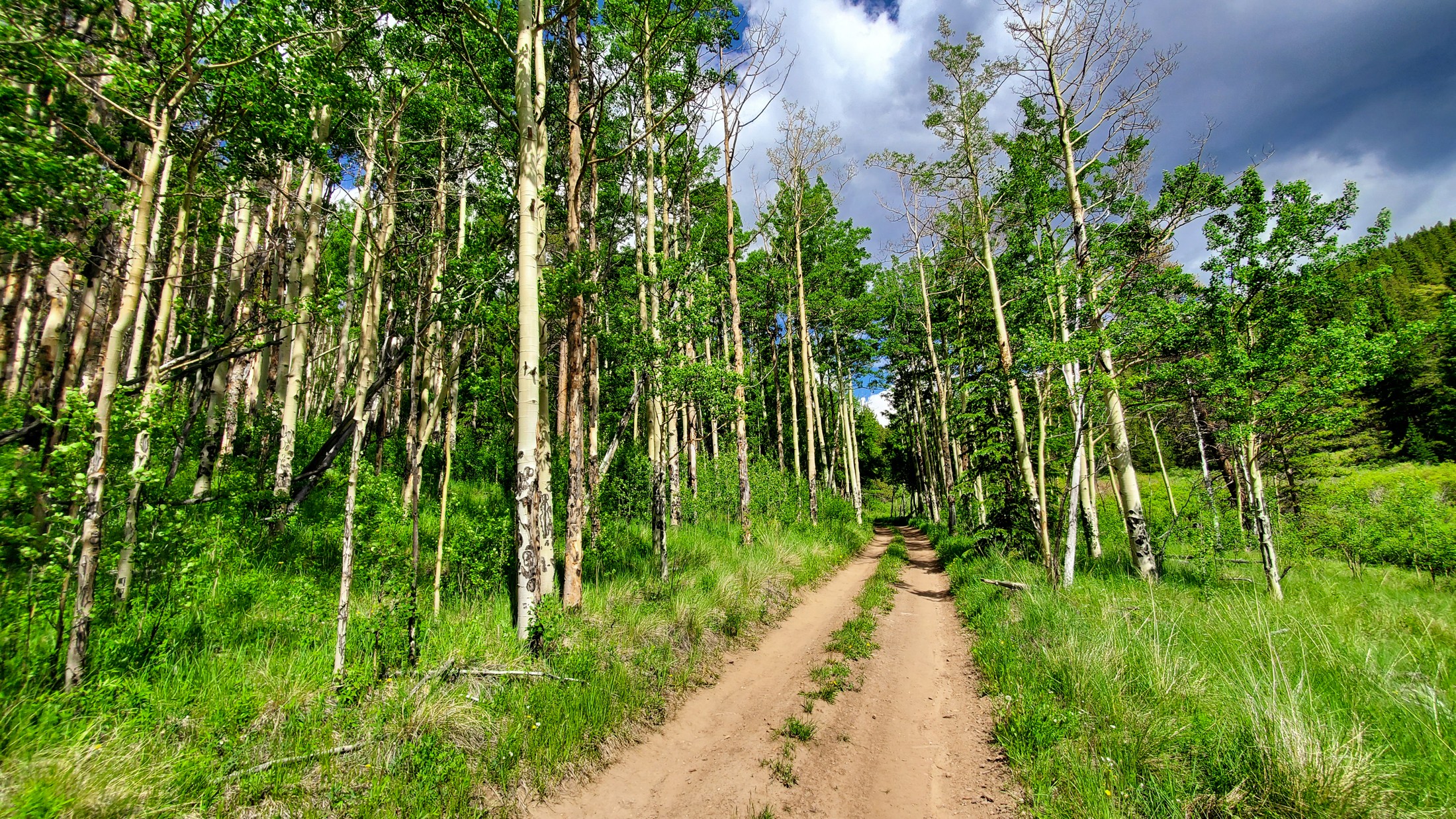 colorado-189.jpeg