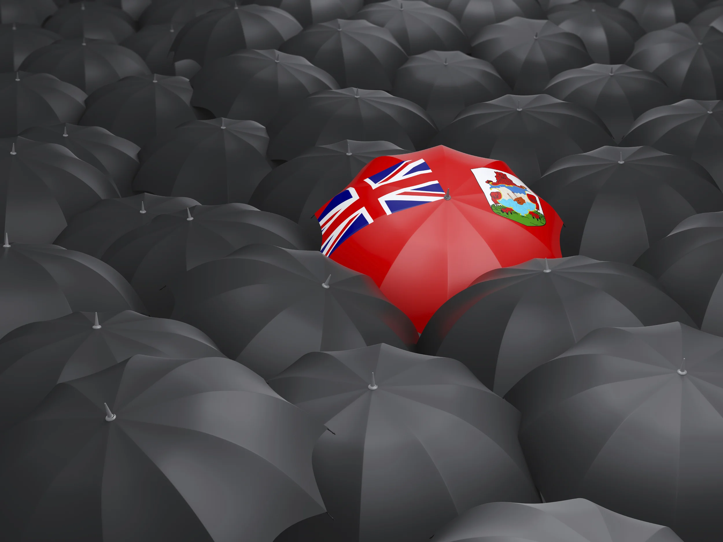 expats-renounce-british-citizenship-111.webp