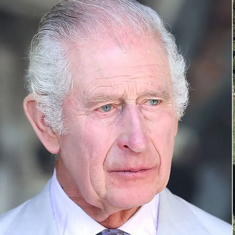 king-charles-803.webp