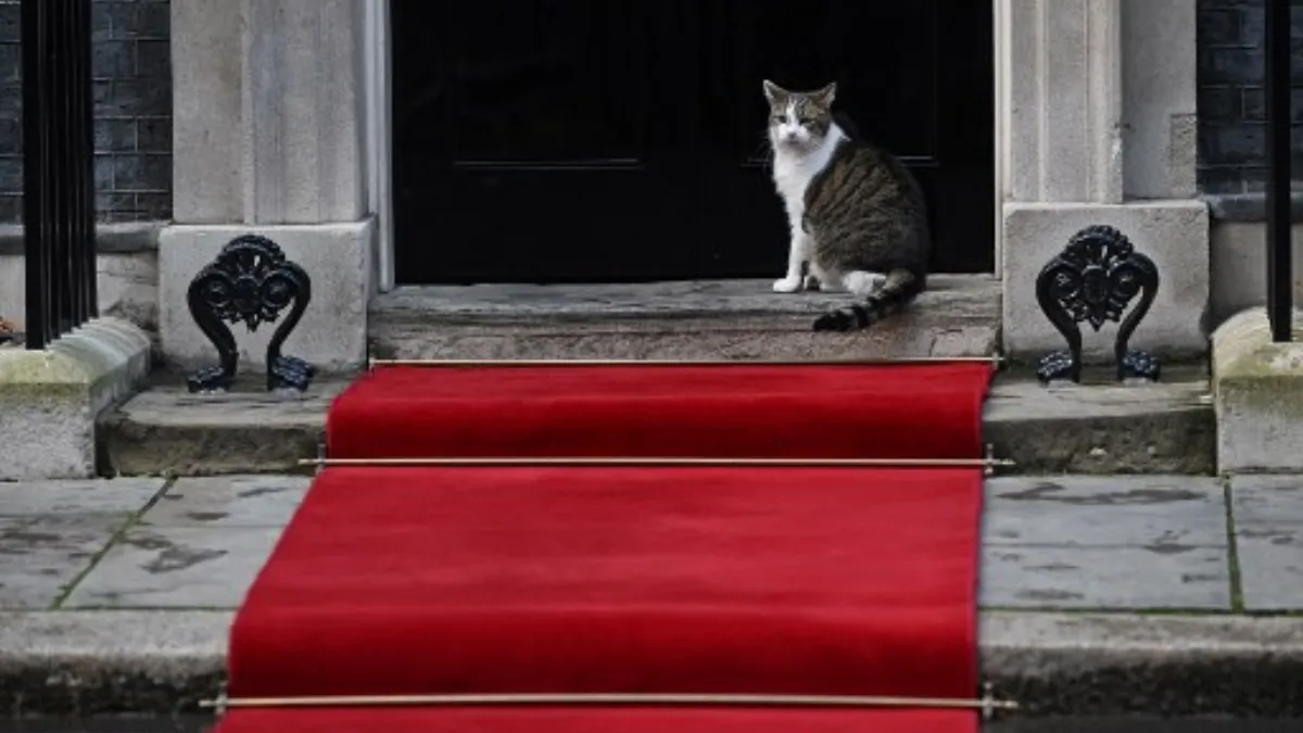 larry-the-cat-189.webp