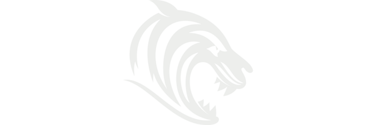 leicester-tigers-1017.png