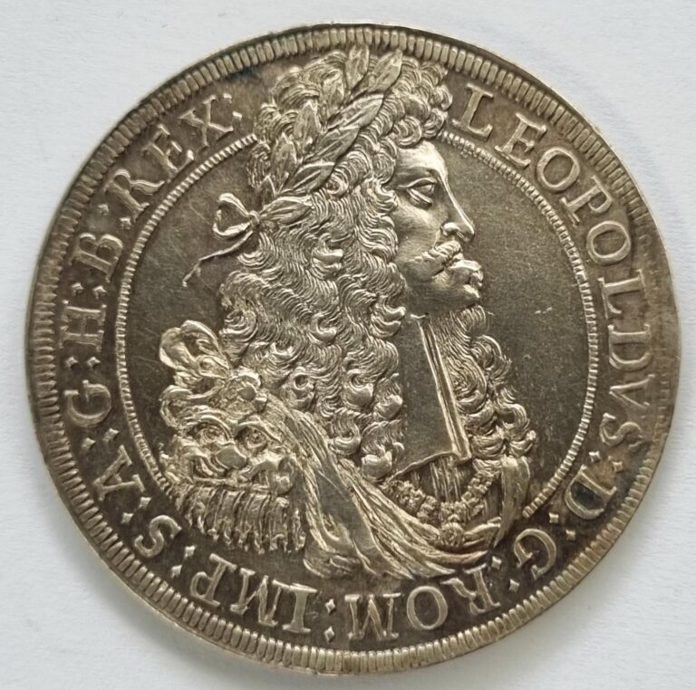 menoncello-1691.jpeg