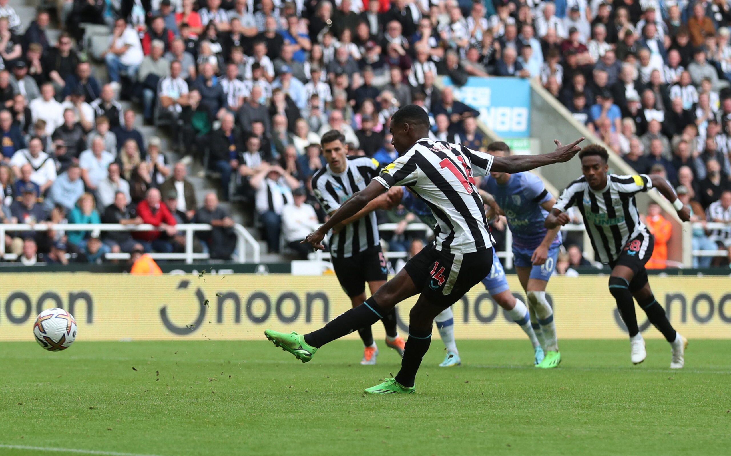 newcastle-vs-portsmouth-176.jpeg
