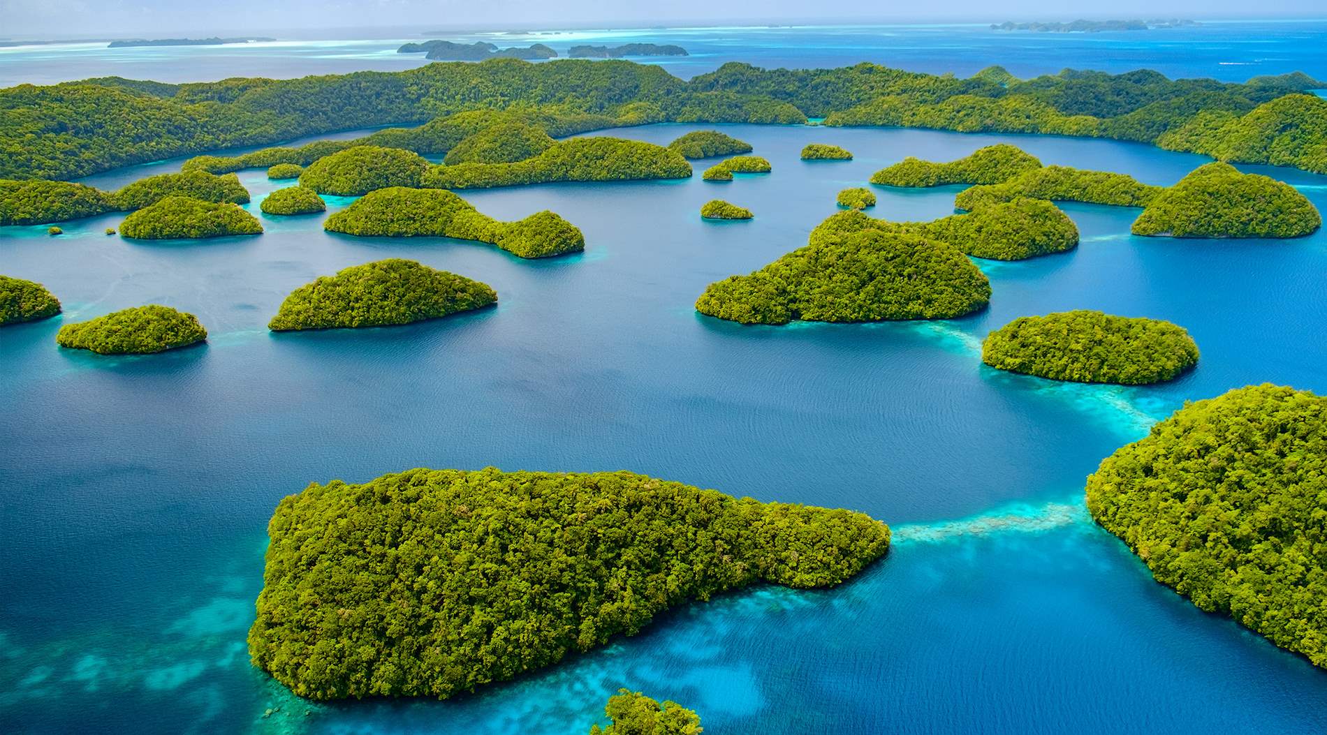 palau-87.jpeg