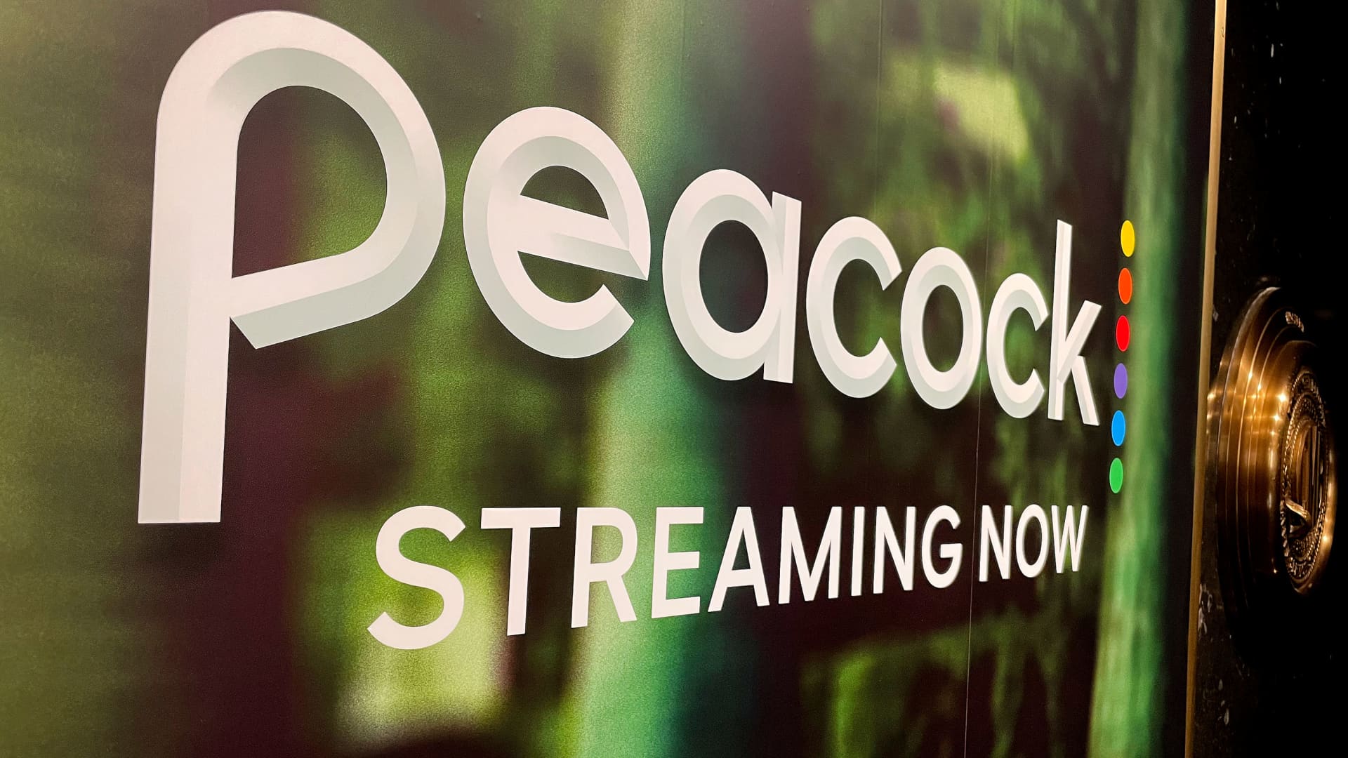peacock-189.jpeg