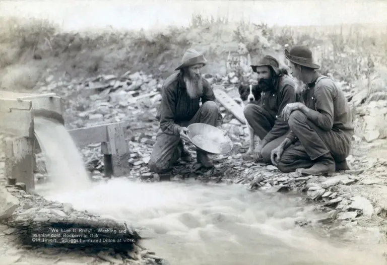 south-african-gold-fever-28.webp