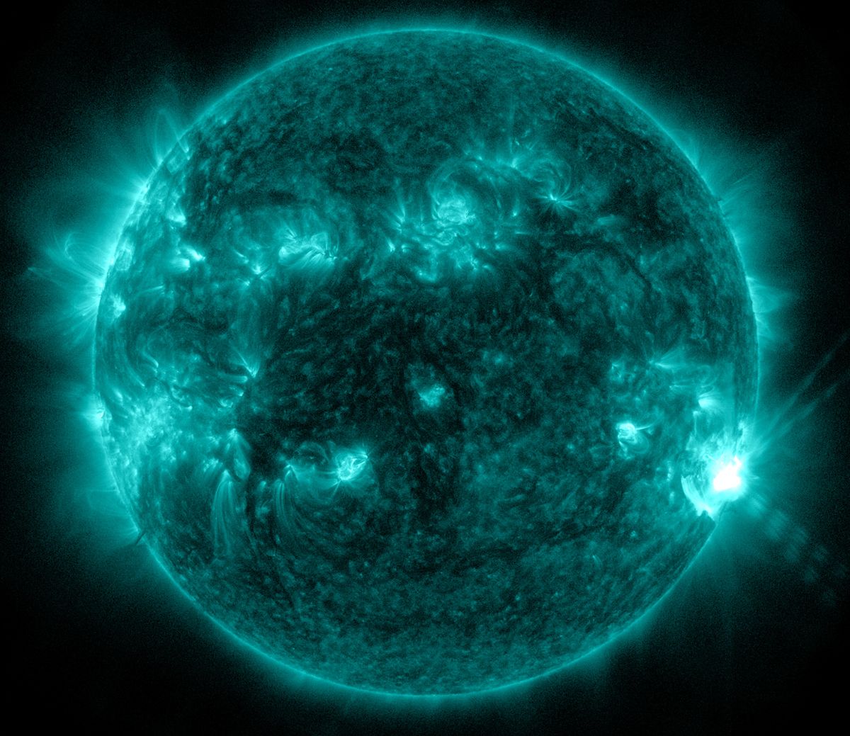 sun-solar-flares-48.jpeg