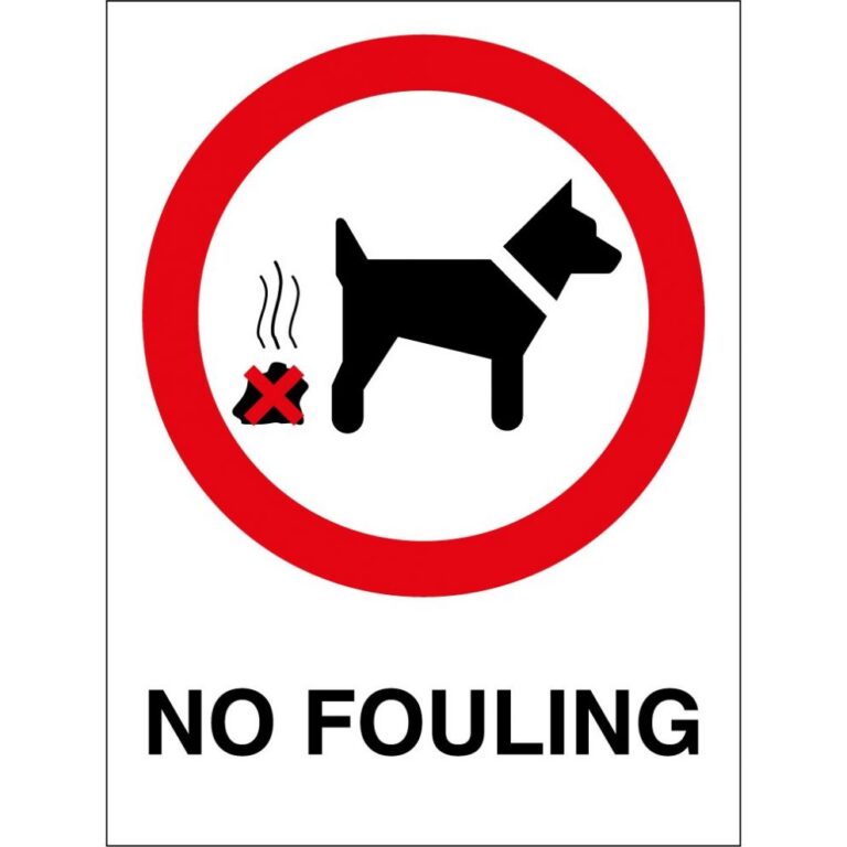 wales-dog-walking-fines-299.jpeg