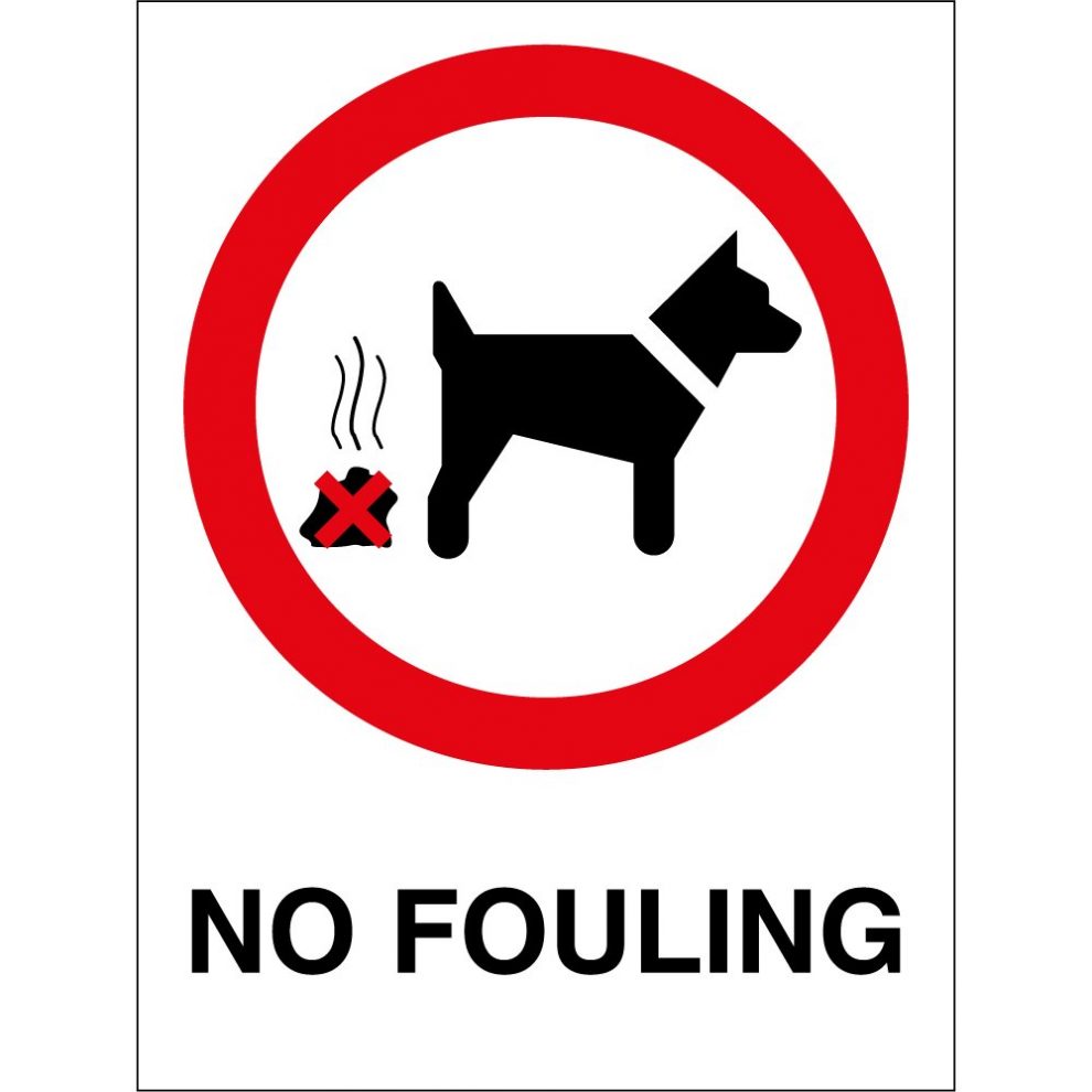 wales-dog-walking-fines-299.jpeg