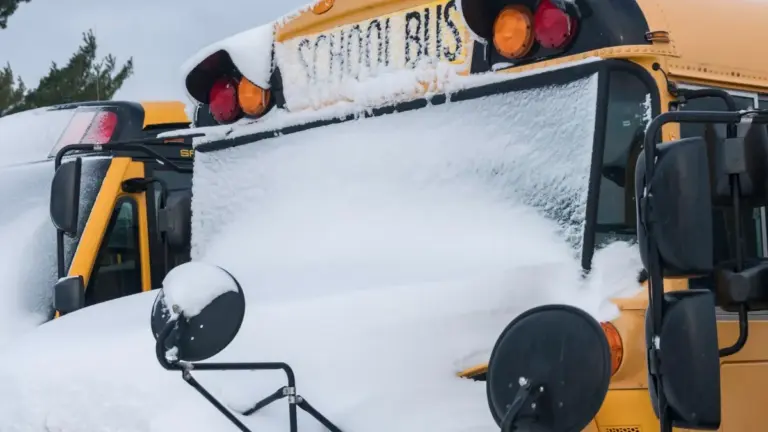 are schools closed today — US news