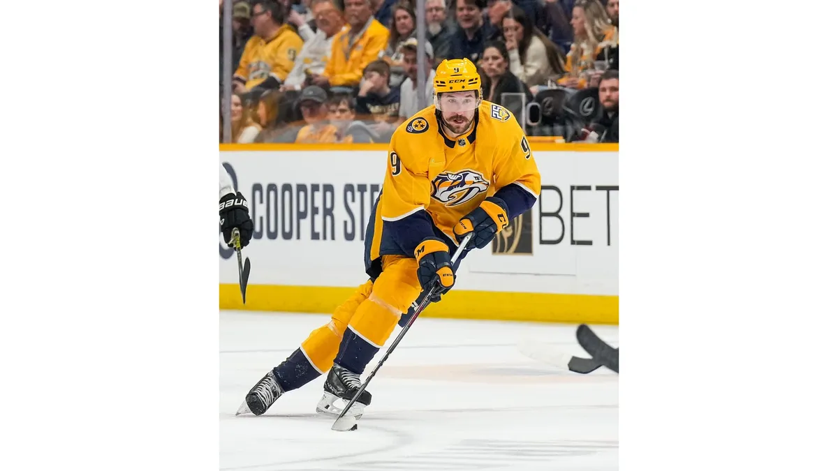 bruins vs predators — US news