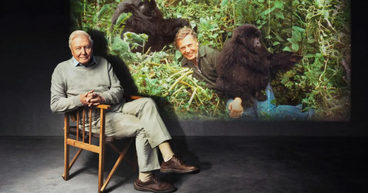 david attenborough — US news