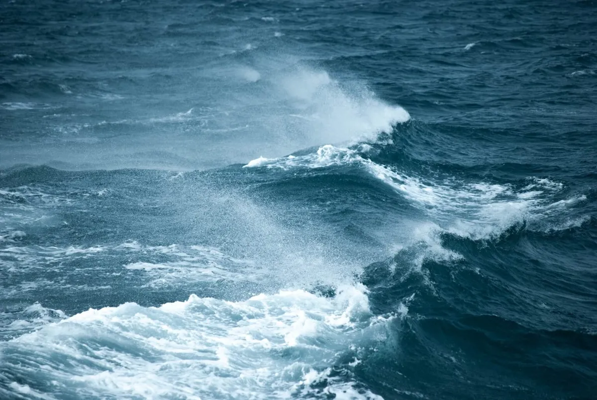 gale warning — US news