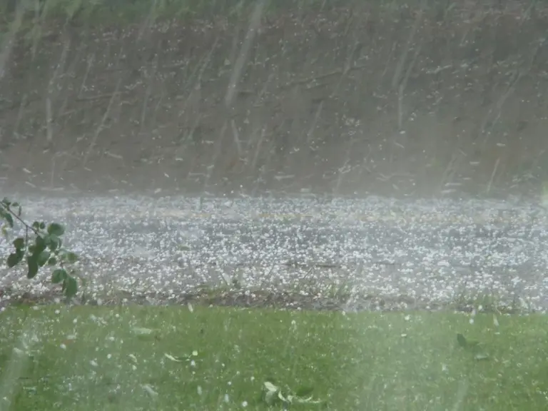 hail — US news