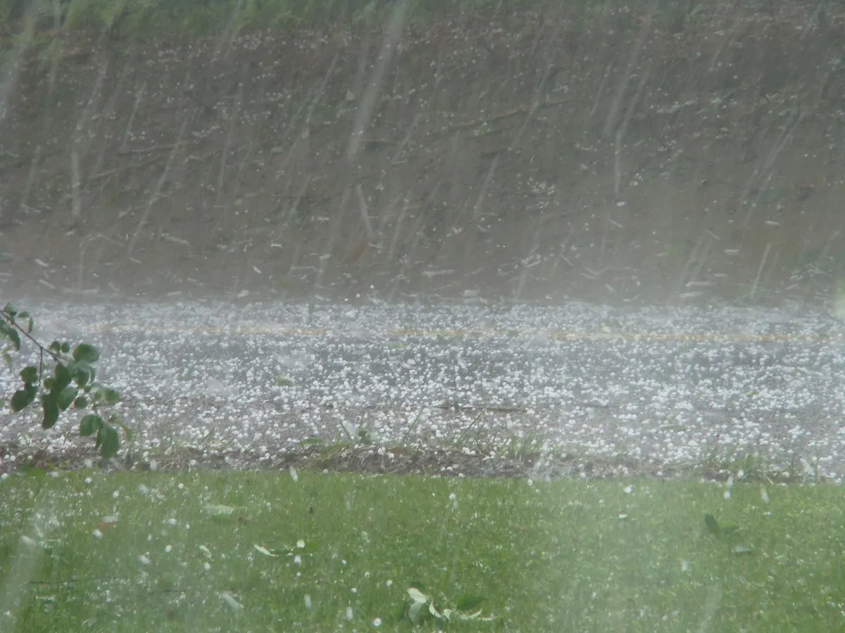 hail — US news