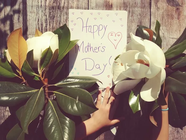 mothers day 2026 uk — US news