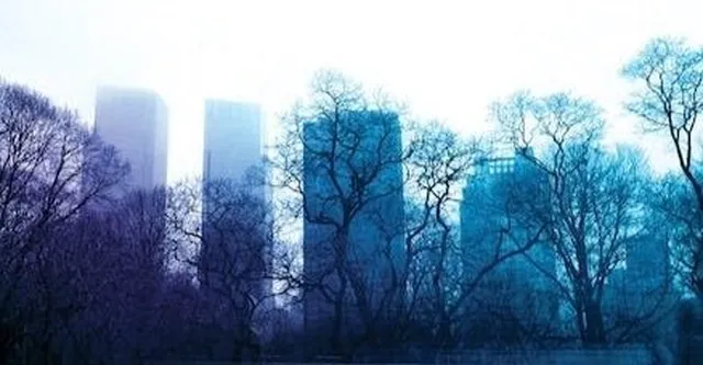 scarpetta season 2 — US news
