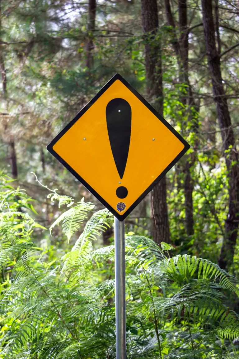 warning vs watch — US news