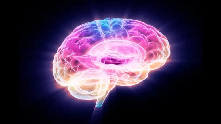 aging brain — US news