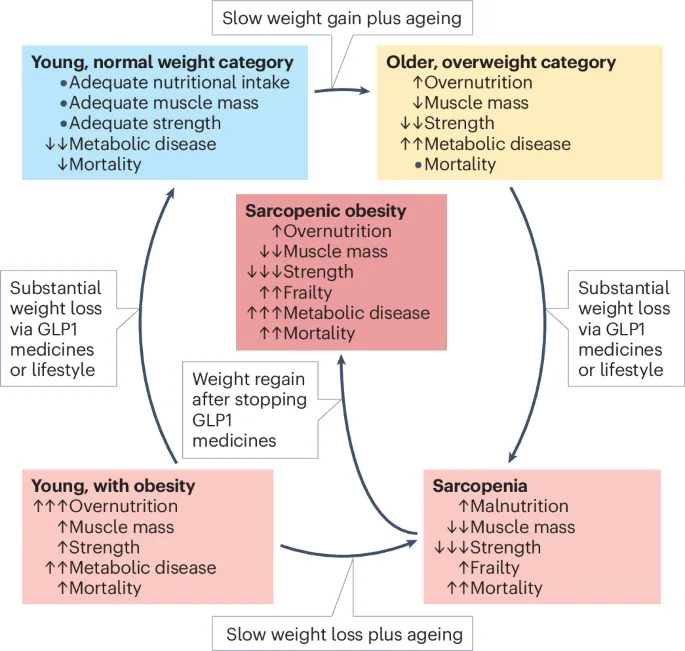 glp-1 receptor agonist — US news
